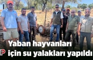 Yaban hayvanları için su yalakları yapıldı