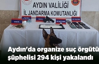 Aydın'da organize suç örgütü şüphelisi...
