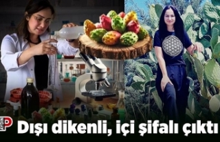 Dışı dikenli, içi şifalı çıktı