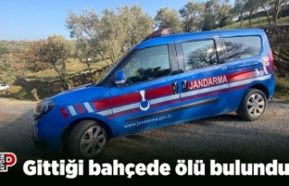Gittiği bahçede ölü bulundu
