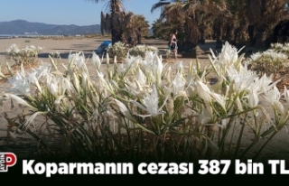 Koparmanın cezası 387 bin TL