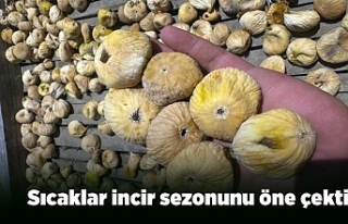 Sıcaklar incir sezonunu öne çekti