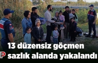 13 düzensiz göçmen sazlık alanda yakalandı