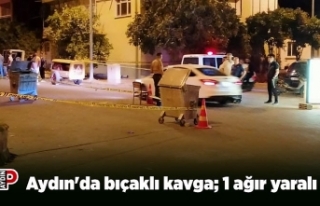 Aydın'da bıçaklı kavga; 1 ağır yaralı