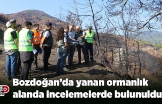 Bozdoğan’da yanan ormanlık alanda incelemelerde...