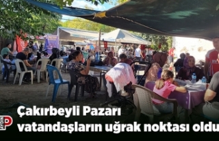 Çakırbeyli Pazarı vatandaşların uğrak noktası...
