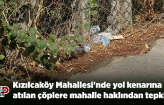 Kızılcaköy Mahallesi'nde yol kenarına atılan...