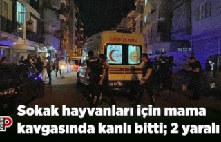 Sokak hayvanları için mama kavgasında kanlı bitti;...