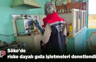 Söke'de riske dayalı gıda işletmeleri denetlendi