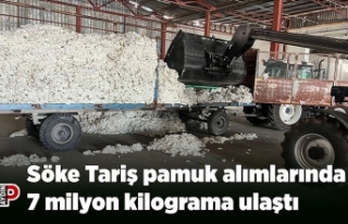 Söke Tariş pamuk alımlarında 7 milyon kilograma...