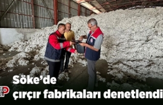 Söke’de çırçır fabrikaları denetlendi