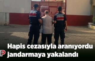 Hapis cezasıyla aranıyordu jandarmaya yakalandı