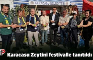 Karacasu Zeytini festivalle tanıtıldı