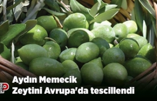 Aydın Memecik Zeytini Avrupa'da tescillendi