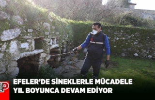 EFELER’DE SİNEKLERLE MÜCADELE YIL BOYUNCA DEVAM...