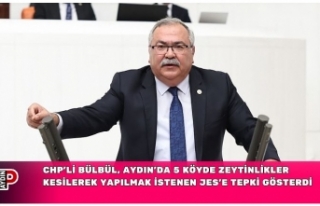 CHP’li Bülbül, Aydın’da 5 köyde zeytinlikler...