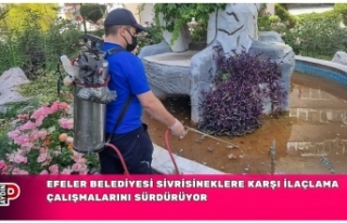 EFELER BELEDİYESİ SİVRİSİNEKLERE KARŞI İLAÇLAMA...