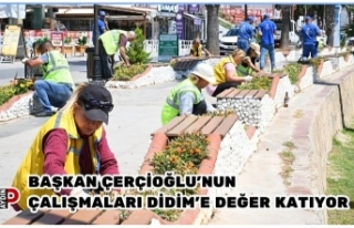 BAŞKAN ÇERÇİOĞLU’NUN ÇALIŞMALARI DİDİM’E...