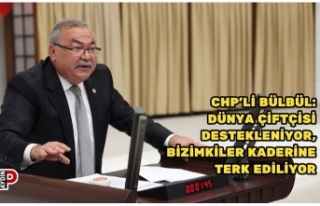 CHP’Lİ BÜLBÜL: DÜNYA ÇİFTÇİSİ DESTEKLENİYOR,...