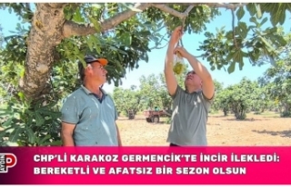 CHP’Lİ KARAKOZ GERMENCİK’TE İNCİR İLEKLEDİ:...