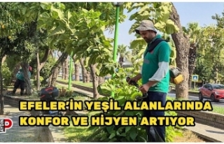 EFELER’İN YEŞİL ALANLARINDA KONFOR VE HİJYEN...
