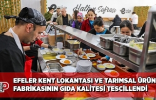 EFELER KENT LOKANTASI VE TARIMSAL ÜRÜN FABRİKASININ...