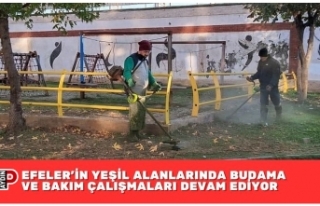 EFELER’İN YEŞİL ALANLARINDA BUDAMA VE BAKIM ÇALIŞMALARI...