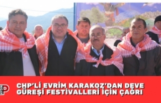 CHP’Lİ EVRİM KARAKOZ’DAN DEVE GÜREŞİ FESTİVALLERİ...