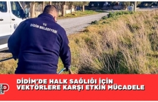 DİDİM’DE HALK SAĞLIĞI İÇİN VEKTÖRLERE KARŞI...