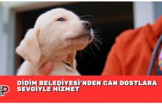 DİDİM BELEDİYESİ’NDEN CAN DOSTLARA SEVGİYLE...