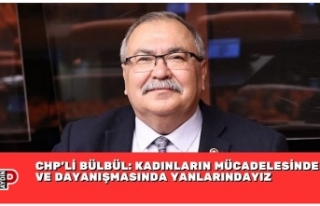 CHP’Lİ BÜLBÜL: KADINLARIN MÜCADELESİNDE VE...