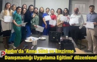 Aydın'da 'Anne Sütü ve Emzirme Danışmanlığı Uygulama Eğitimi' düzenlendi