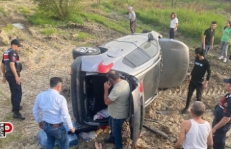 Aydın'da otomobil şarampole uçtu; 2 yaralı