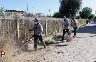 Nazilli'de yabani otlar temizleniyor