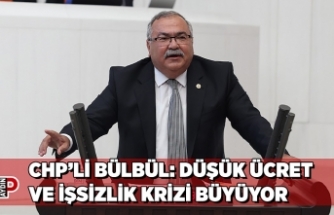CHP’Lİ BÜLBÜL: DÜŞÜK ÜCRET VE İŞSİZLİK KRİZİ BÜYÜYOR