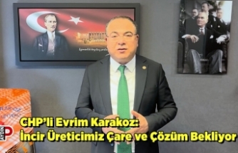 CHP’li Evrim Karakoz: İncir Üreticimiz Çare ve Çözüm Bekliyor