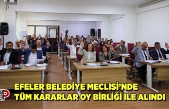 EFELER BELEDİYE MECLİSİ’NDE TÜM KARARLAR OY BİRLİĞİ İLE ALINDI