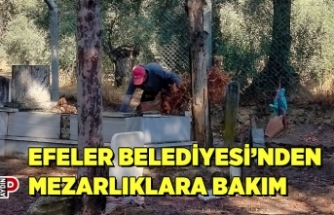 EFELER BELEDİYESİ’NDEN MEZARLIKLARA BAKIM