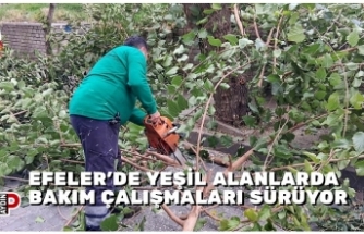 EFELER’DE YEŞİL ALANLARDA BAKIM ÇALIŞMALARI SÜRÜYOR