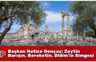 Başkan Hatice Gençay: Zeytin Barışın, Bereketin, Didim’in Simgesi