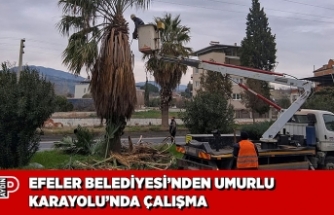 EFELER BELEDİYESİ’NDEN UMURLU KARAYOLU’NDA ÇALIŞMA