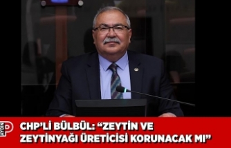 CHP’Lİ BÜLBÜL: “ZEYTİN VE ZEYTİNYAĞI ÜRETİCİSİ KORUNACAK MI”