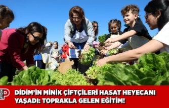 DİDİM’İN MİNİK ÇİFTÇİLERİ HASAT HEYECANI YAŞADI: TOPRAKLA GELEN EĞİTİM!