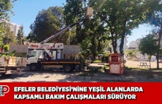 EFELER BELEDİYESİ’NİNE YEŞİL ALANLARDA KAPSAMLI BAKIM ÇALIŞMALARI SÜRÜYOR