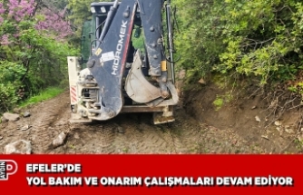 EFELER’DE YOL BAKIM VE ONARIM ÇALIŞMALARI DEVAM EDİYOR