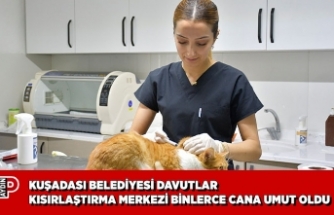 KUŞADASI BELEDİYESİ DAVUTLAR KEDİ KISIRLAŞTIRMA MERKEZİ BİNLERCE CANA UMUT OLDU
