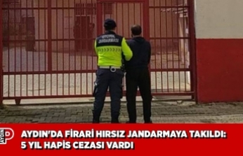 AYDIN'DA FİRARİ HIRSIZ JANDARMAYA TAKILDI: 5 YIL HAPİS CEZASI VARDI