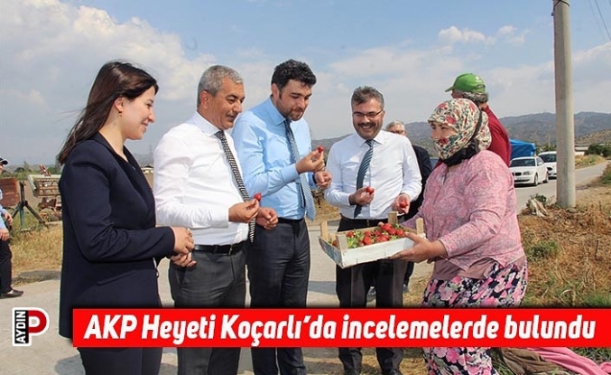 AKP Heyeti Koçarlı’da incelemelerde bulundu