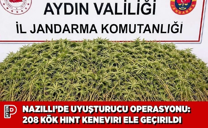 NAZİLLİ’DE UYUŞTURUCU OPERASYONU: 208 KÖK HİNT KENEVİRİ ELE GEÇİRİLDİ