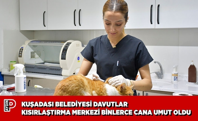 KUŞADASI BELEDİYESİ DAVUTLAR KEDİ KISIRLAŞTIRMA MERKEZİ BİNLERCE CANA UMUT OLDU